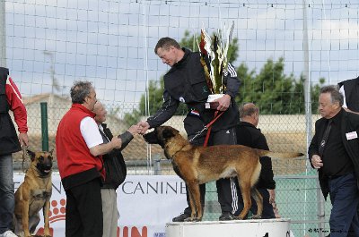 Remise des Prix 208.JPG - CHIENPLUS.COM